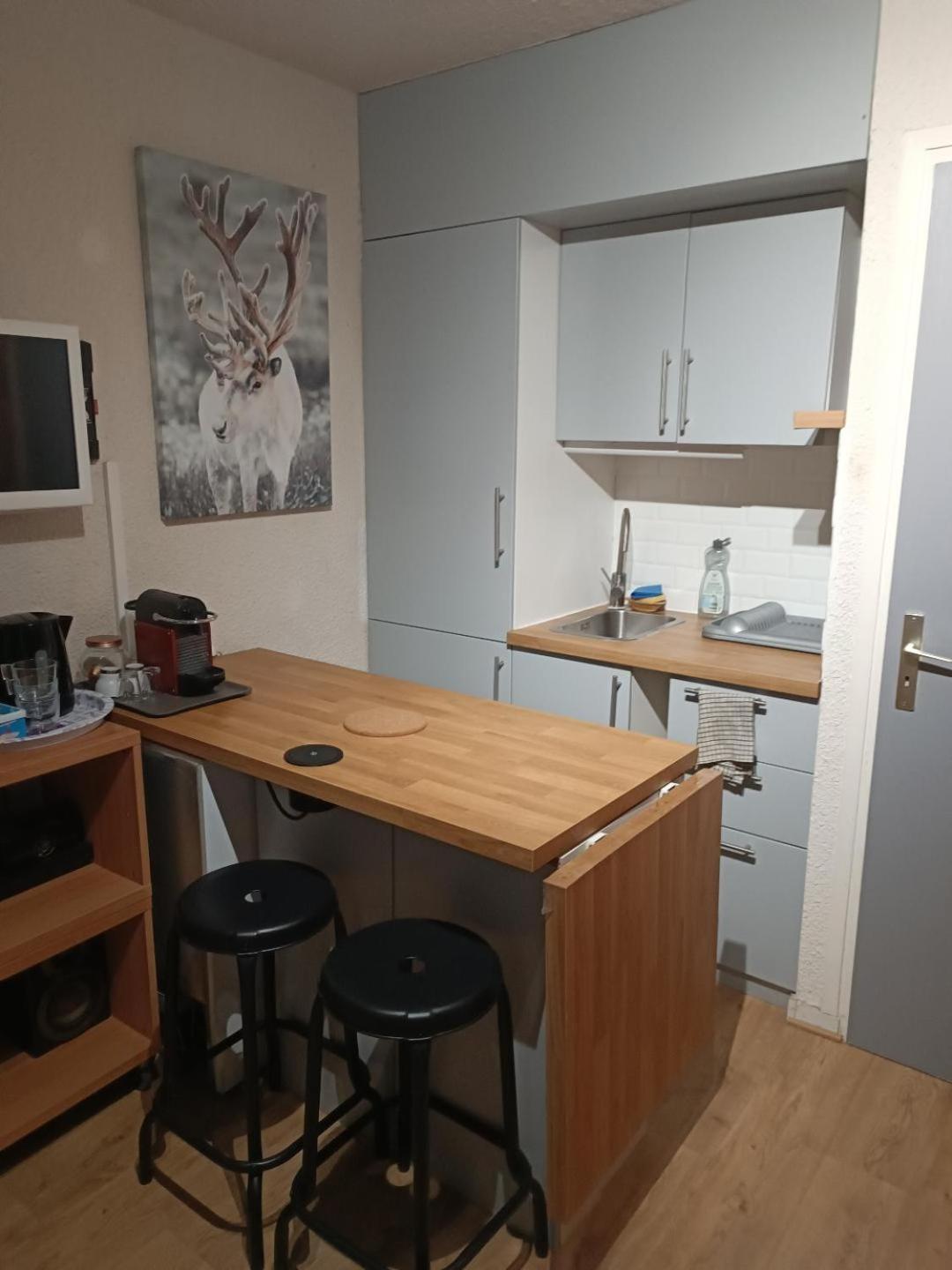 Studio Au Pied Des Pistes Avec Vue Sur La Montagne Mieussy Kültér fotó